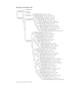 Sturnidae Tree, Part