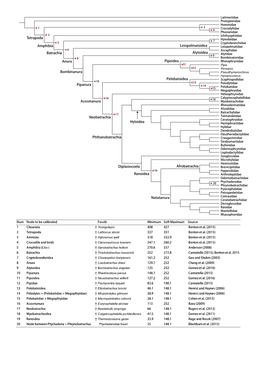 Figure S1 ML Tree 164 SP