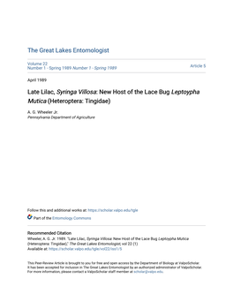 Late Lilac, Syringa Villosa: New Host of the Lace Bug Leptoypha Mutica (Heteroptera: Tingidae)