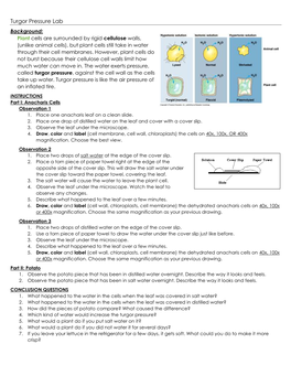 Turgor Pressure