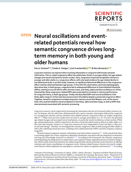 Neural Oscillations and Event-Related Potentials Reveal How Semantic