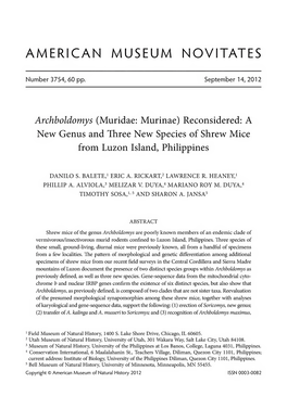 Archboldomys (Muridae: Murinae) Reconsidered: a New Genus and Three New Species of Shrew Mice from Luzon Island, Philippines