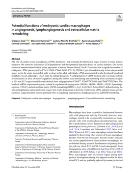 Potential Functions of Embryonic Cardiac Macrophages in Angiogenesis, Lymphangiogenesis and Extracellular Matrix Remodeling