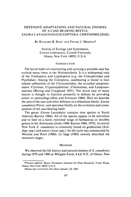 Defensive Adaptations and Natural Enemies of a Case-Bearing Beetle, Exema Canadensis (Coleoptera: Chrysomelidae)