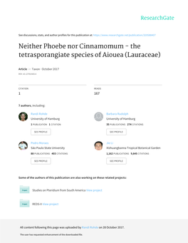Neither Phoebe Nor Cinnamomum - the Tetrasporangiate Species of Aiouea (Lauraceae)
