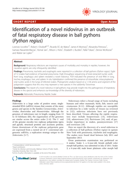 Identification of a Novel Nidovirus in an Outbreak of Fatal