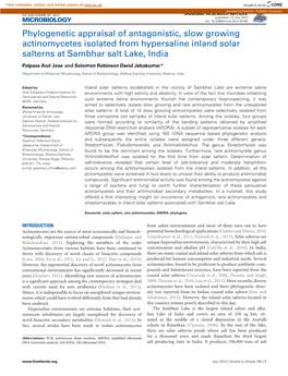 Phylogenetic Appraisal of Antagonistic, Slow Growing Actinomycetes Isolated from Hypersaline Inland Solar Salterns at Sambhar Salt Lake, India