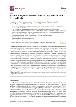 Systemic Mycobacterium Kansasii Infection in Two Related Cats