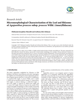 Micromorphological Characterization of the Leaf and Rhizome of Agapanthus Praecox Subsp. Praecox Willd.(Amaryllidaceae)