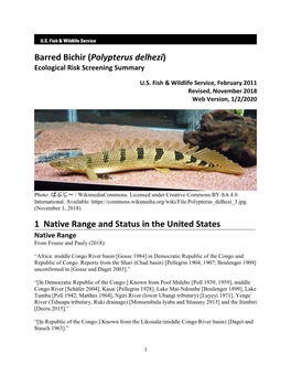 Barred Bichir (Polypterus Delhezi) ERSS