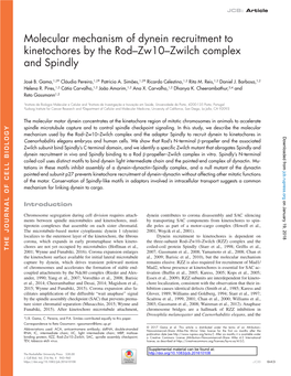 Molecular Mechanism of Dynein Recruitment to Kinetochores by the Rod–Zw10–Zwilch Complex and Spindly