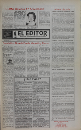 El Editor 1991 10 10