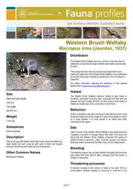 Western Brush Wallaby Macropus Irma (Jourdan, 1837) Distribution