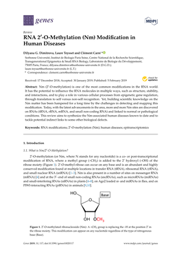 RNA 2 -O-Methylation (Nm) Modification in Human Diseases