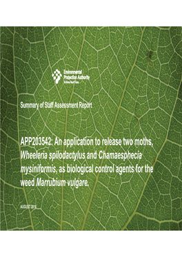 APP203542: an Application to Release Two Moths, Wheeleria Spilodactylus and Chamaesphecia Mysiniformis, As Biological Control Agents for the Weed Marrubium Vulgare