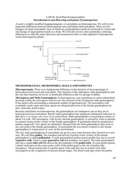 Seed Plant Synapomorphies Introduction to Non-Flowering Seed Plants (Gymnosperms) a Seed Is a Highly Modified Megasporangium, So Seed Plants Are Heterosporous