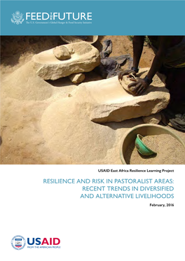 Resilience and Risk in Pastoralist Areas: Recent Trends in Diversified and Alternative Livelihoods