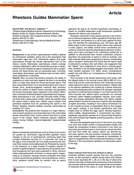 Rheotaxis Guides Mammalian Sperm