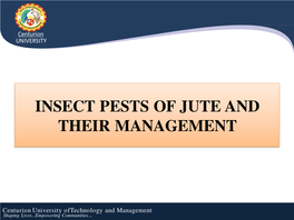 Jute and Their Management