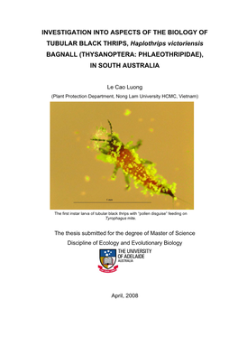 INVESTIGATION INTO ASPECTS of the BIOLOGY of TUBULAR BLACK THRIPS, Haplothrips Victoriensis BAGNALL (THYSANOPTERA: PHLAEOTHRIPIDAE), in SOUTH AUSTRALIA