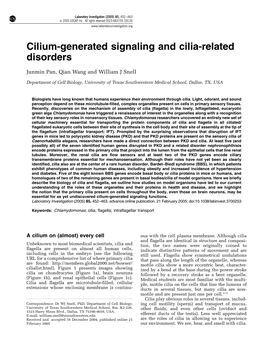 Cilium-Generated Signaling and Cilia-Related Disorders