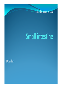 Small Intestine