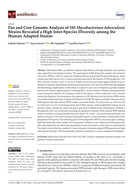 Pan and Core Genome Analysis of 183 Mycobacterium Tuberculosis Strains Revealed a High Inter-Species Diversity Among the Human Adapted Strains