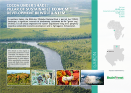 Pillar of Sustainable Economic Development in Woleu-Ntem