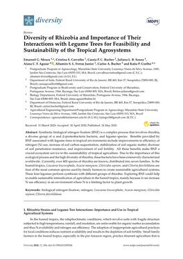 Diversity of Rhizobia and Importance of Their Interactions with Legume Trees for Feasibility and Sustainability of the Tropical Agrosystems