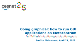 Going Graphical: How to Run GUI Applications on Metacentrum