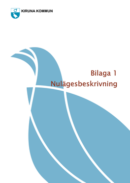 Bilaga 1 Nulägesbeskrivning