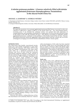 A Burrow Selectively Filled with Tubular Agglutinated Protozoans (Xenophyophorea, Foraminifera) in the Abyssal South China Sea