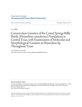 Conservation Genetics of the Comal Springs Riffle Beetle (Heterelmis