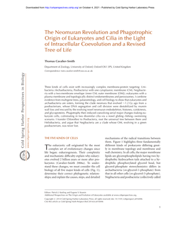 The Neomuran Revolution and Phagotrophic Origin of Eukaryotes and Cilia in the Light of Intracellular Coevolution and a Revised Tree of Life