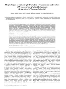 Morphological and Physiological Variation Between Queens and Workers of Protonectarina Sylveirae (De Saussure) (Hymenoptera, Vespidae, Epiponini)