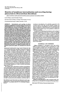 Kinetics of Membrane Internalization and Recycling During