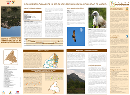 Rutas Ornitológicas Por La Red De Vías Pecuarias De La Comunidad De Madrid