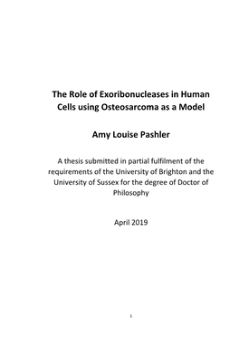 The Role of Exoribonucleases in Human Cells Using Osteosarcoma As a Model Amy Louise Pashler