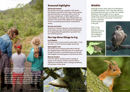 Seasonal Highlights Our Top Three Things to Try Wildlife