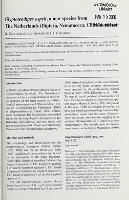 Cnfomolocj Library Glyptotendipes Ospeli, a New Species from MAR 1 5 2000 the Netherlands (Diptera, Nematocera