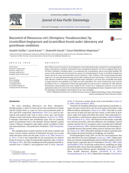 Biocontrol of Planococcus Citri (Hemiptera: Pseudococcidae) by Lecanicillium Longisporum and Lecanicillium Lecanii Under Laboratory and Greenhouse Conditions