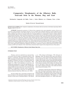 Comparative Morphometry of the Olfactory Bulb, Tract and Stria in the Human, Dog and Goat