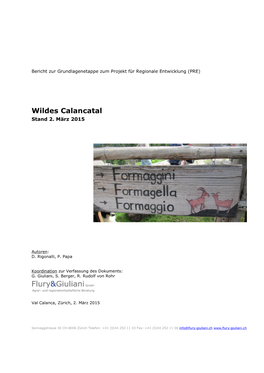 Wildes Calancatal Stand 2