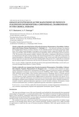 Omalus Sculpticollis As the Main Enemy of Psenulus Fuscipennis (Hymenoptera: Chrysididae, Crabronidae) in the Crimea, Ukraine