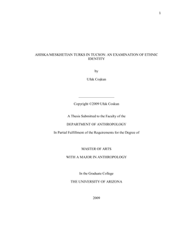 Ahiska/Meskhetian Turks in Tucson: an Examination of Ethnic Identity