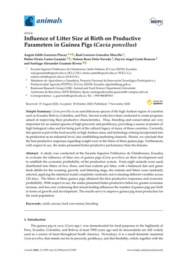 Influence of Litter Size at Birth on Productive Parameters in Guinea Pigs (Cavia Porcellus)