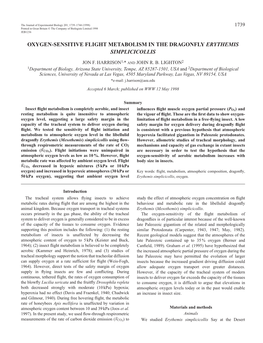 Oxygen-Sensitive Flight Metabolism in the Dragonfly Erythemis Simplicicollis