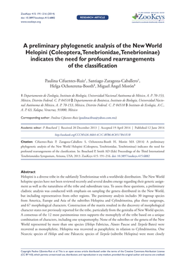 A Preliminary Phylogenetic Analysis of the New World Helopini