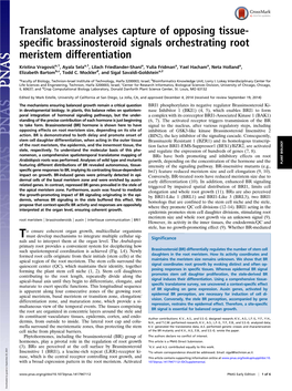 Specific Brassinosteroid Signals Orchestrating Root Meristem Differentiation