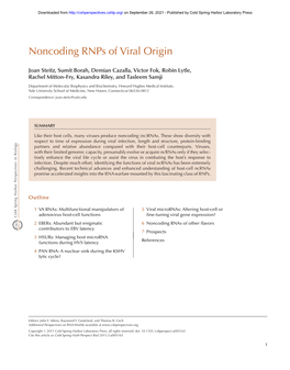 Noncoding Rnps of Viral Origin